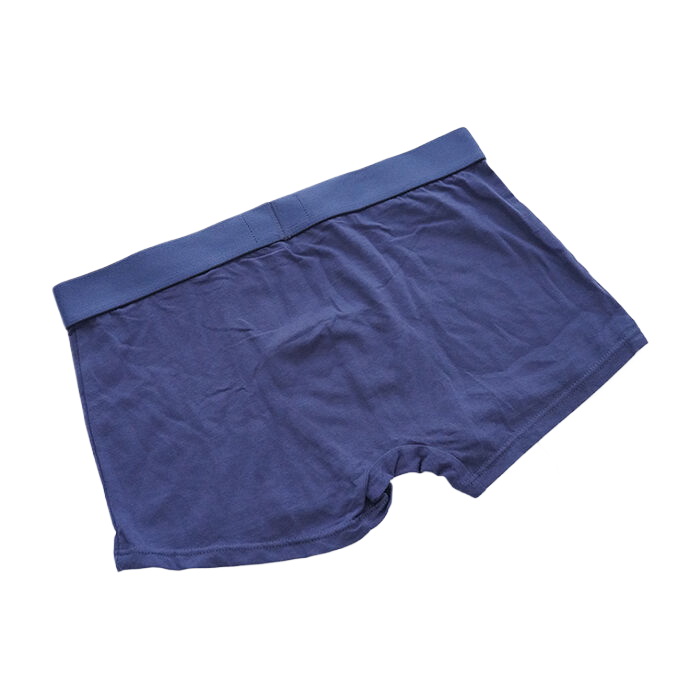 Boxer Tommy Hombre Azul